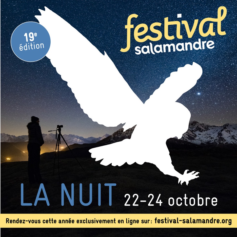 matoupie-geneve-Festival-salamandre-octobre-2021