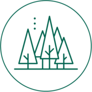 matoupie-toupie-en-bois-artisanat-geneve-suisse